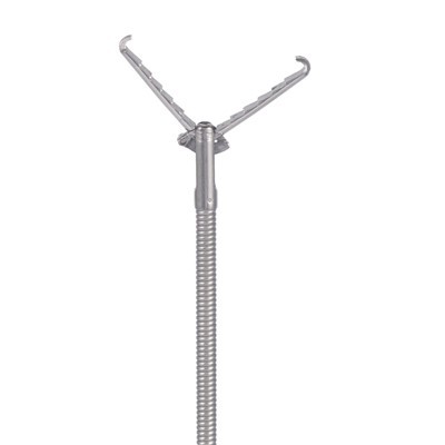 එන්ඩොස්කොපික් විදේශීය ආයතන බලකාය