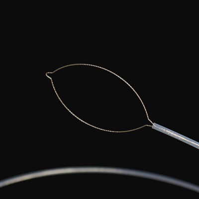 ගන්ධ වර්ගය විදේශීය ශරීර ෆෝර්ස්ප්ස්